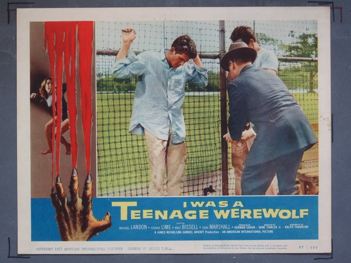 I WAS TEENAGE WEREWOLF (American International) 1957 Lobby Card Set (8) - Image 2