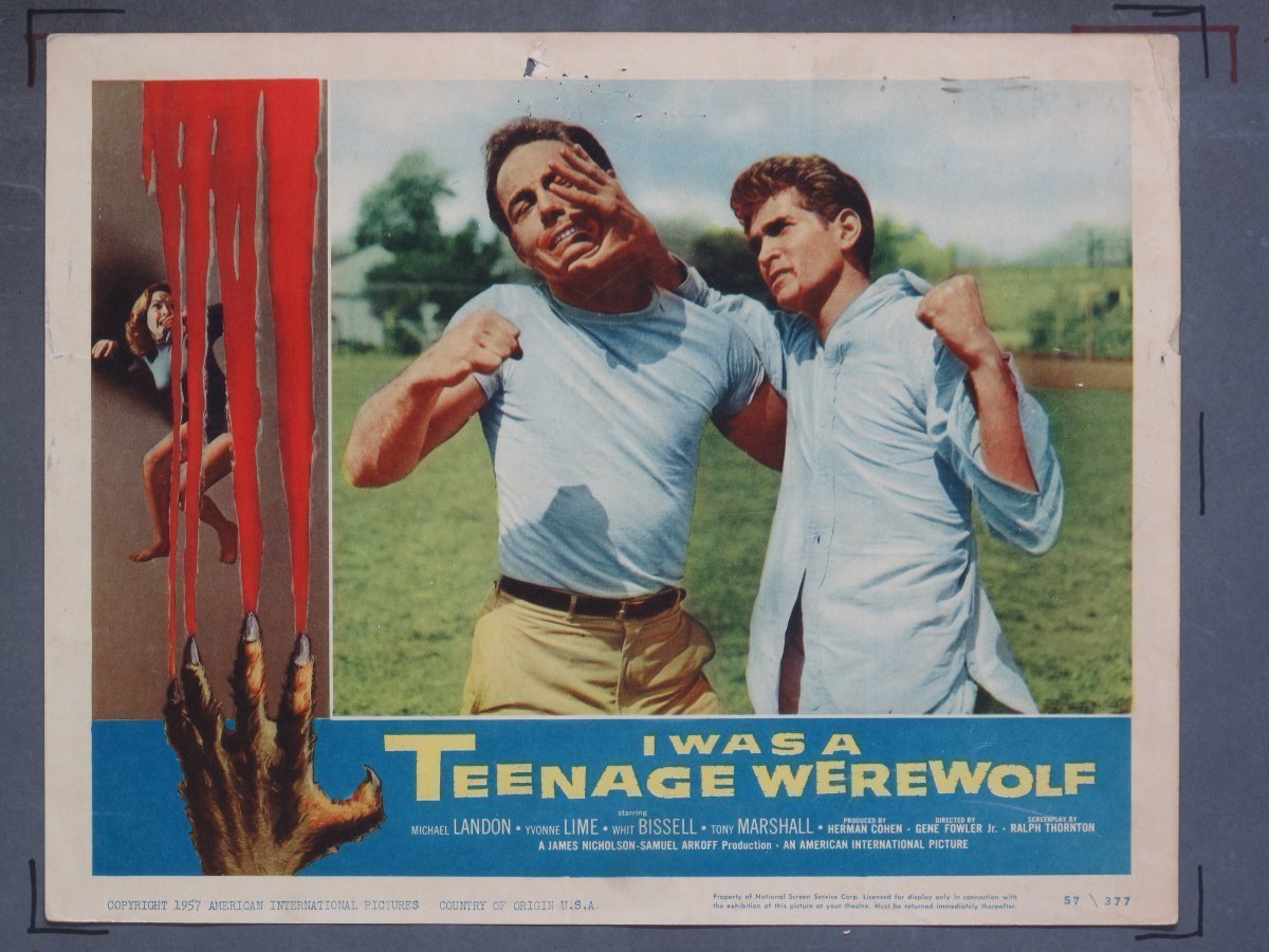 I WAS TEENAGE WEREWOLF (American International) 1957 Lobby Card Set (8) - Image 4
