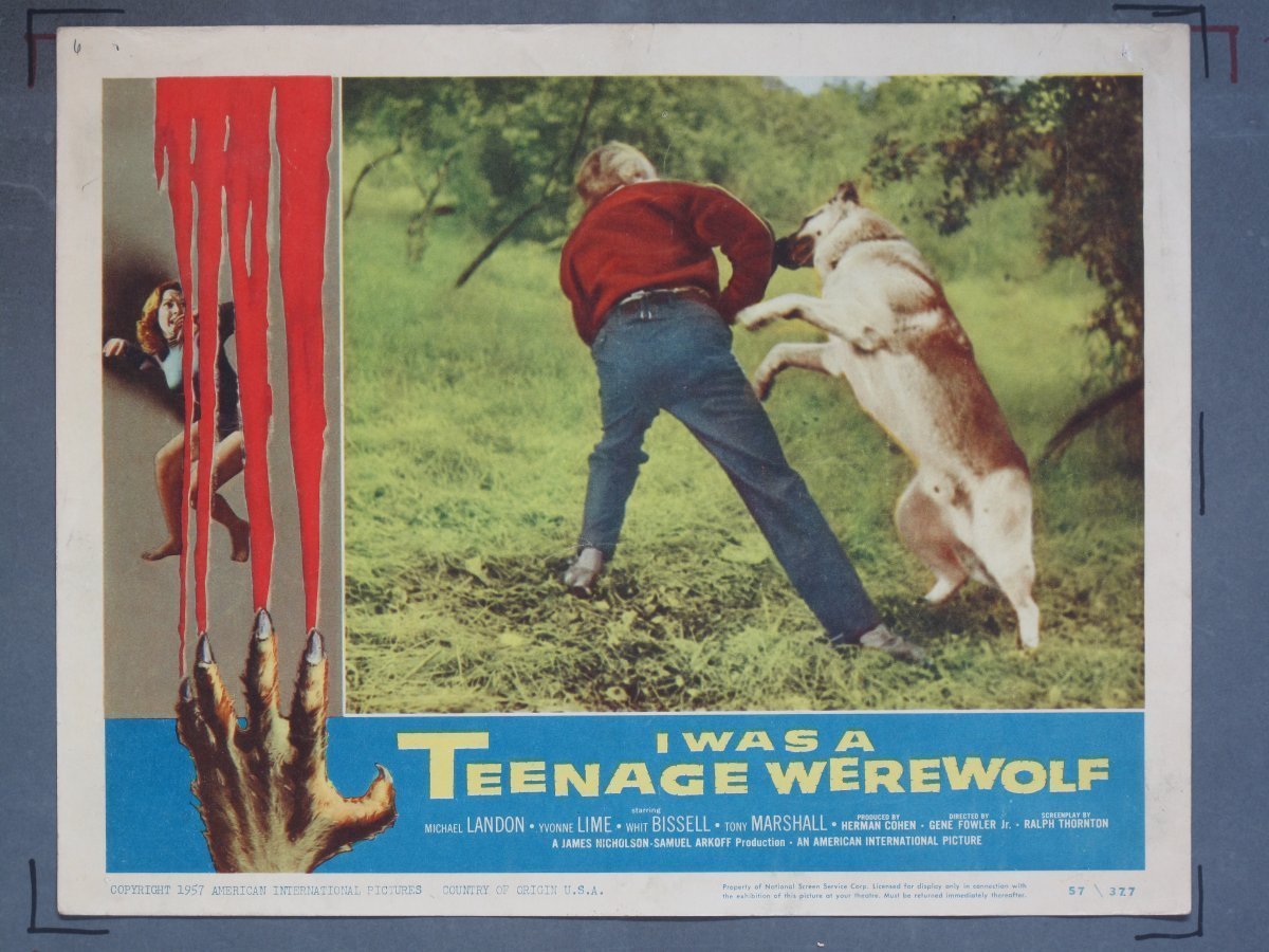I WAS TEENAGE WEREWOLF (American International) 1957 Lobby Card Set (8) - Image 6