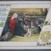 LAND OF THE SILVER FOX (Warner Bros) 1928 (7) Lobby Cards