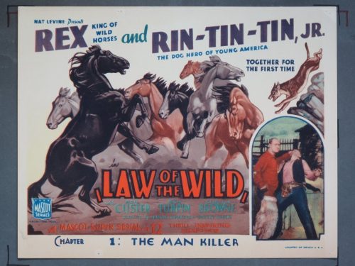 LAW OF THE WILD - CHAPTER 1 (Mascot) 1934 Title Card +(4) Lobby Cards ...