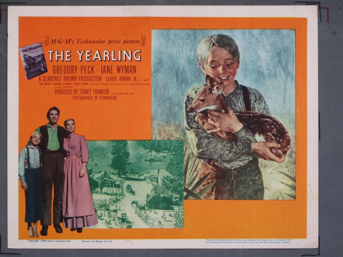 YEARLING (MGM) 1946 Title Card +(7) Lobby Cards