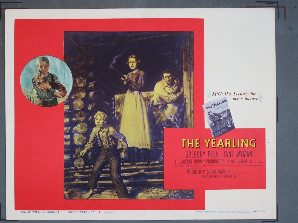 YEARLING (MGM) 1946 Title Card +(7) Lobby Cards - Image 2