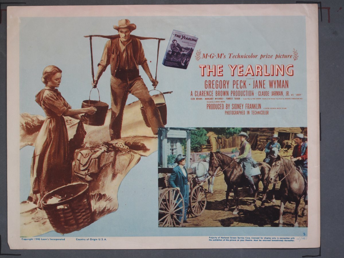 YEARLING (MGM) 1946 Title Card +(7) Lobby Cards - Image 5