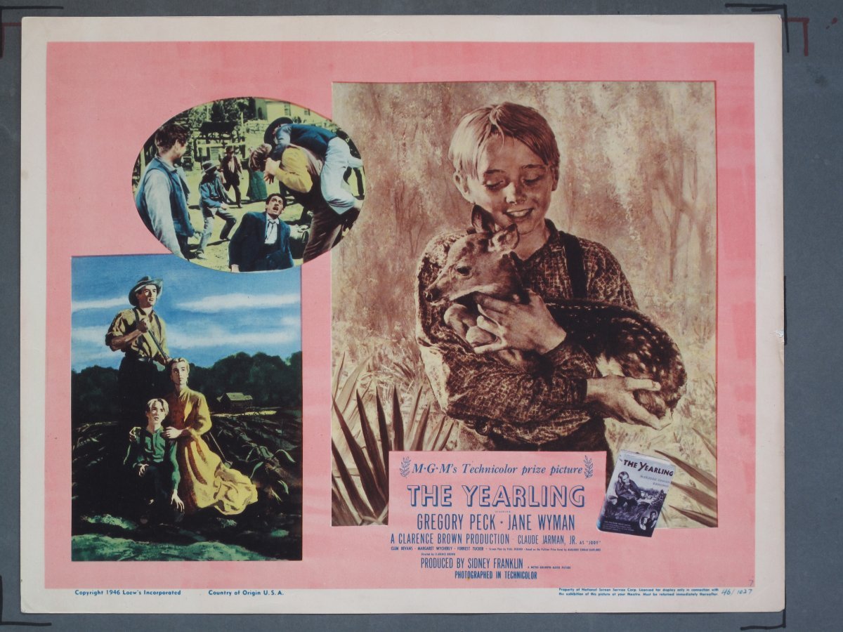 YEARLING (MGM) 1946 Title Card +(7) Lobby Cards - Image 6