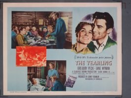 YEARLING (MGM) 1946 Title Card +(7) Lobby Cards - Image 7
