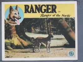RANGER OF THE NORTH (1927) Original 11x14 Lobby Card