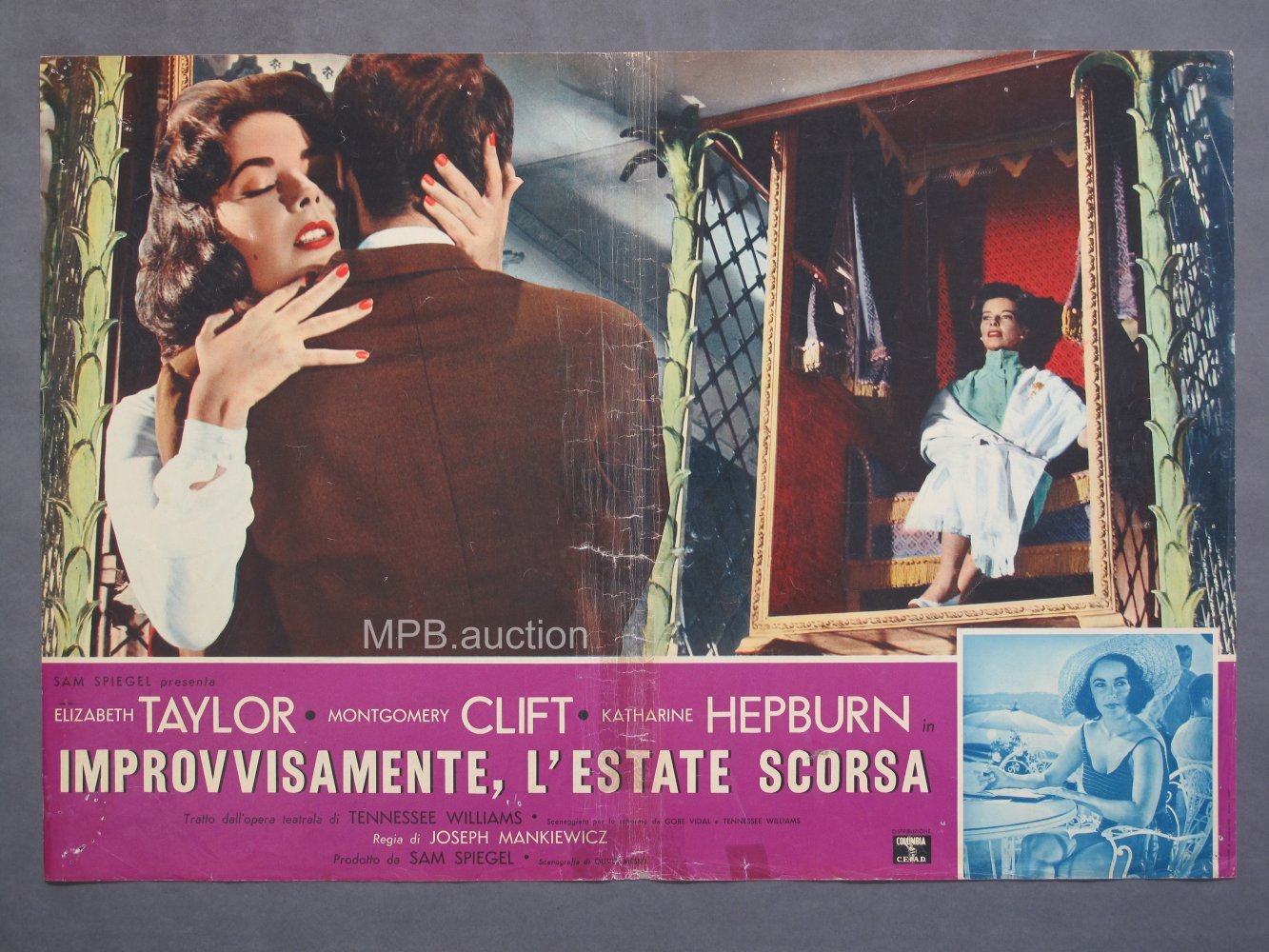 SUDDENLY LAST SUMMER (1960) Original Italian Photobustas (8) - Image 4