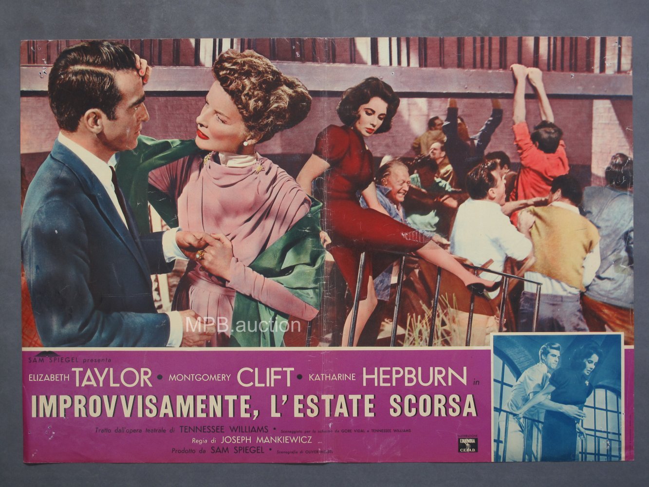 SUDDENLY LAST SUMMER (1960) Original Italian Photobustas (8) - Image 6