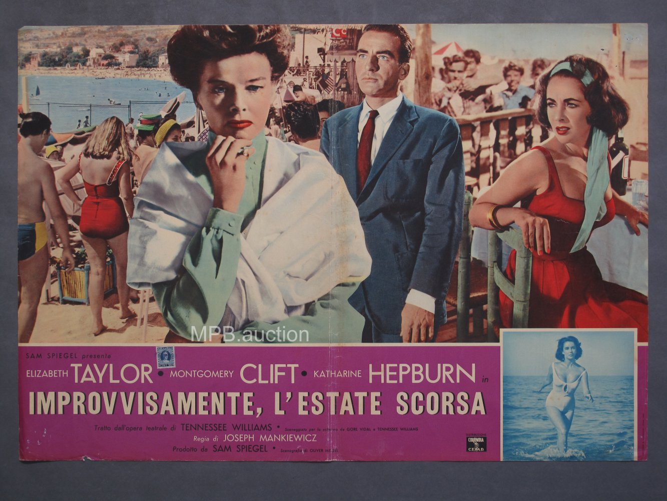 SUDDENLY LAST SUMMER (1960) Original Italian Photobustas (8) - Image 7