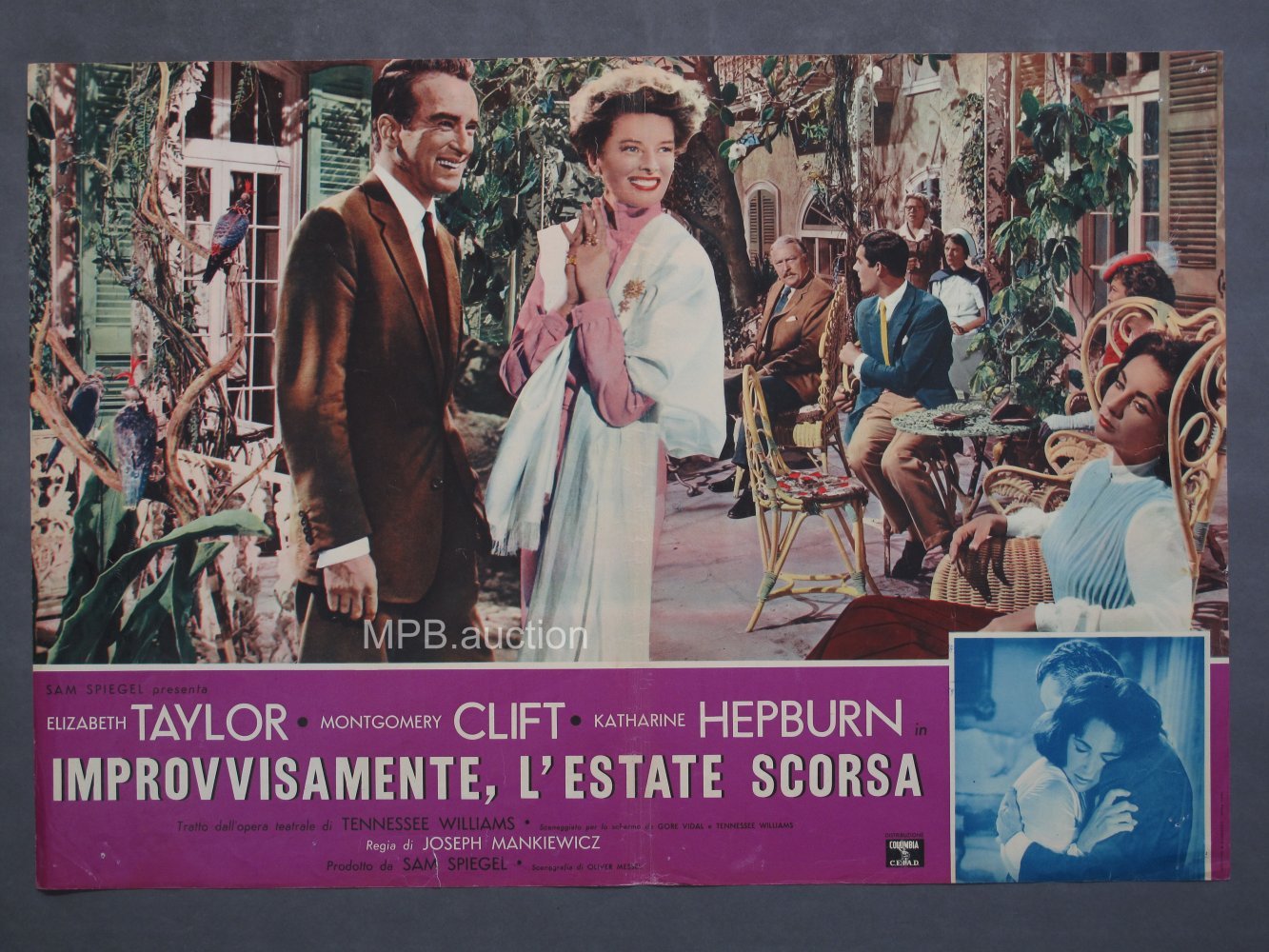 SUDDENLY LAST SUMMER (1960) Original Italian Photobustas (8) - Image 8