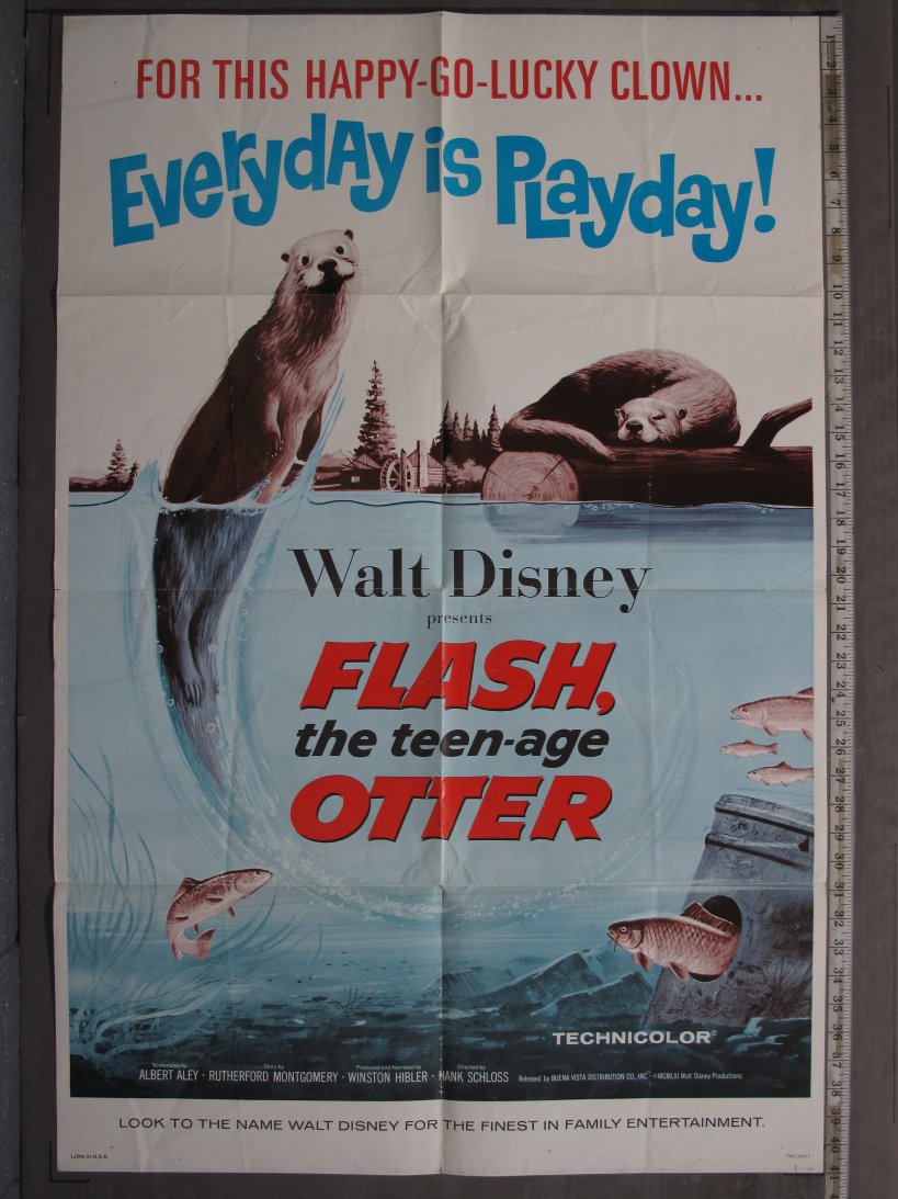 FLASH THE TEENAGE OTTER (1965) Original Movie Poster