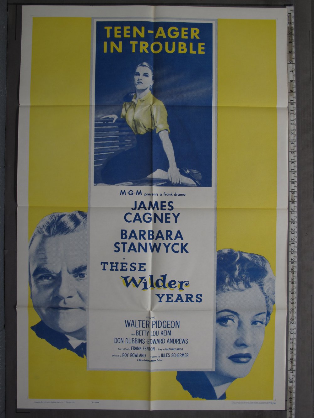 THESE WILDER YEARS (1962R) Original Movie Poster
